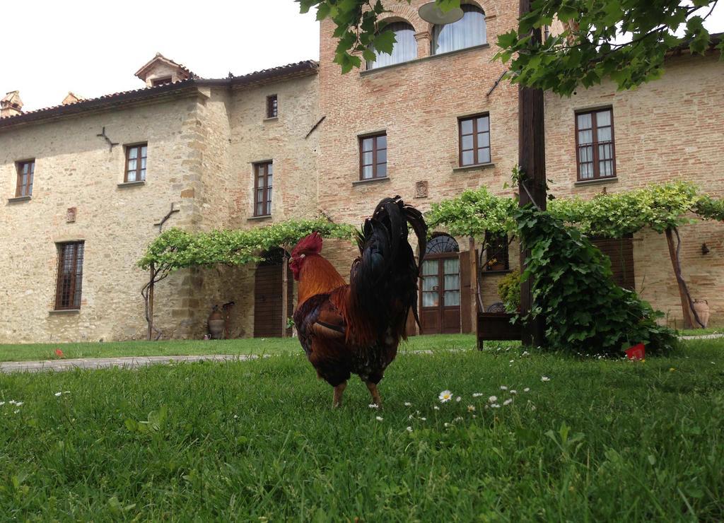 Residenza D'Epoca Il Biribino Otel Città di Castello Dış mekan fotoğraf